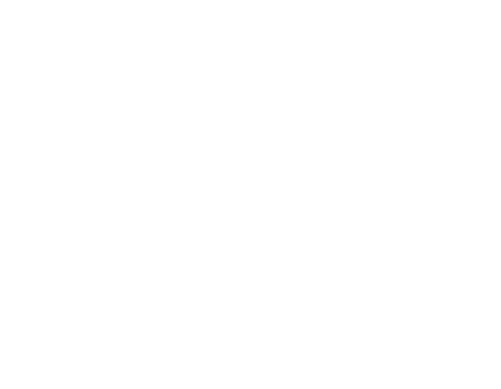 Logo Reitschule Bern seit 1897